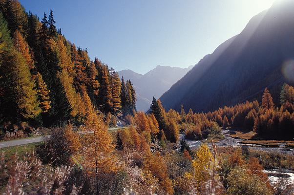 01_am_fluelapass.jpg
