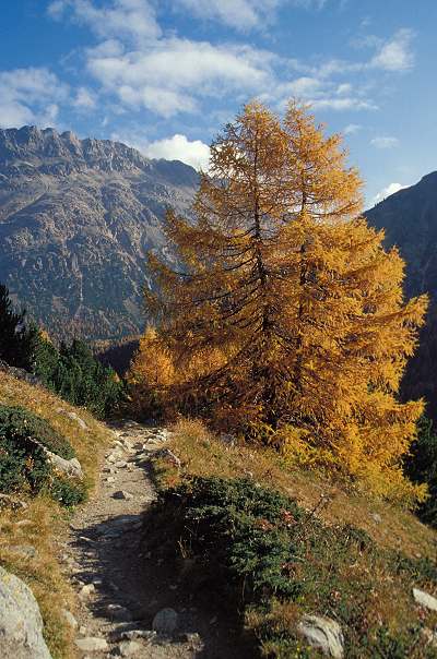 26_blick_zum_piz_albris.jpg