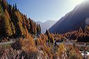 01_am_fluelapass