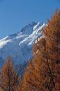17_piz_bernina
