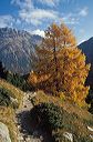 26_blick_zum_piz_albris