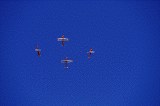 029_kunstflug_pc-7