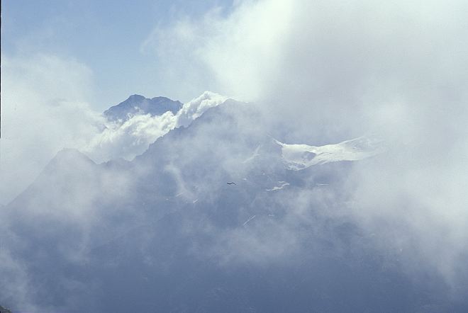 38_blick_zum_balfrin.jpg