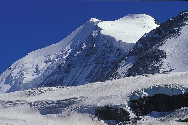 58_bishorn_mit_bruneggl.jpg