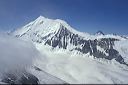 33_weissh._u._dent_blanche_