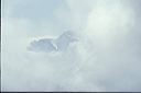 40_wolkenfenster