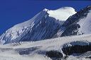 58_bishorn_mit_bruneggl