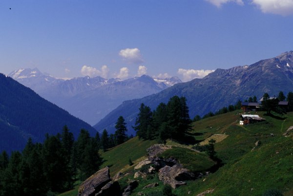 02_laucherenalp