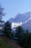 03_schinhorn_