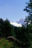 04_loetschenluecke