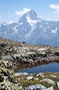 28_lotschepass