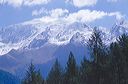 36_weissmies_