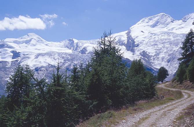 39_alphubel.jpg